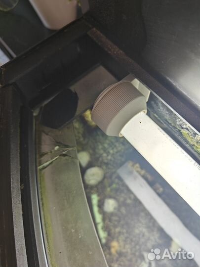 Аквариум с рыбками