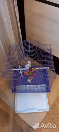 Клетка для попугая или канарейки