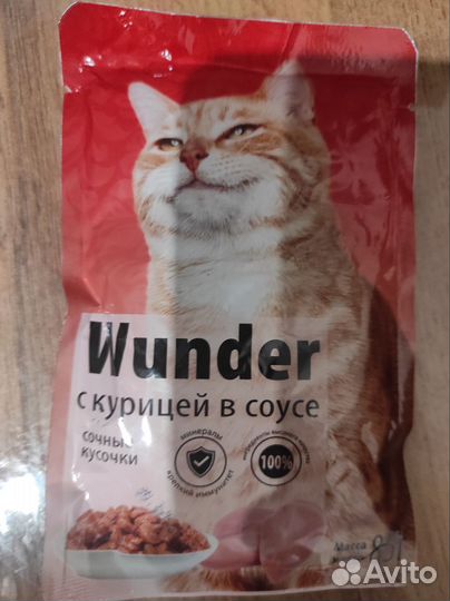 Влажный корм для кошек