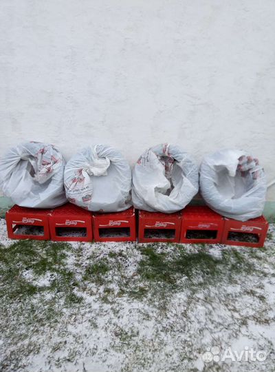 Nordman Nordman 4 205/55 R16 86D