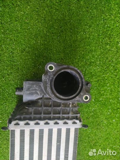 Интеркулер Honda Civic FC / FK 2017