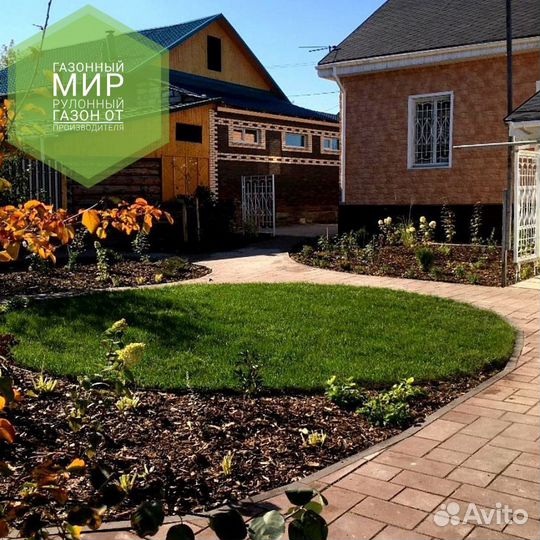 Рулонный газон