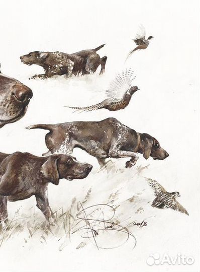 Вязка курцхар