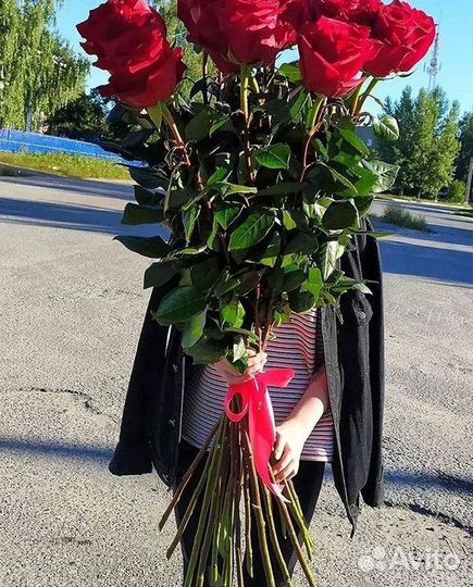 Розы Цветы Букеты 25 51 151 201 101 301 501 опт