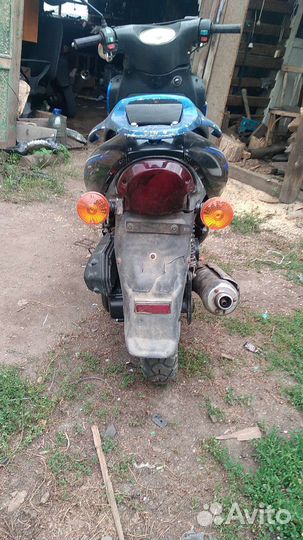 Рейсер Сагита