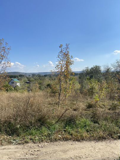 Участок 12 сот. (СНТ, ДНП)