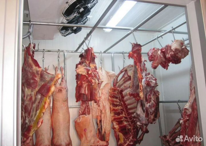 Холодильная мясная камера б/у