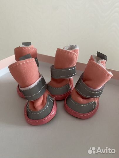 Ботинки для маленьких собак