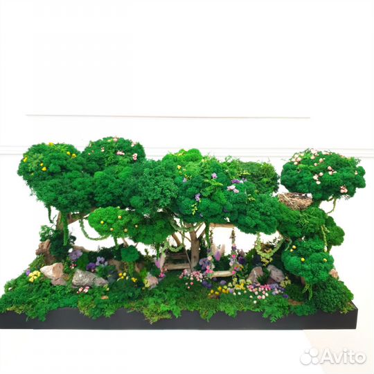 Миниатюра из стабилизированного мха