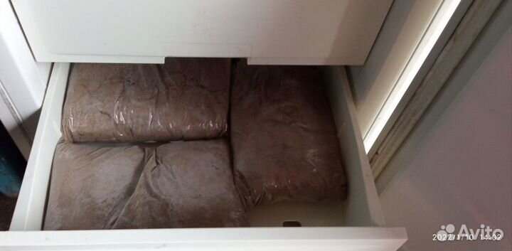 Яйца Артемии