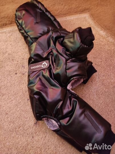 Одежда и обувь для собак оптом и розница