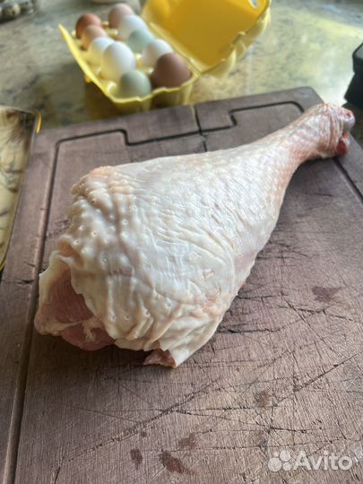 Голень индейки