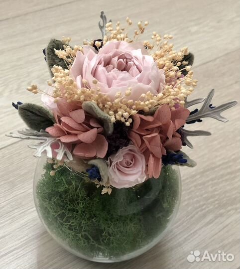 Цветы сухоцветы стабилизированные цветы