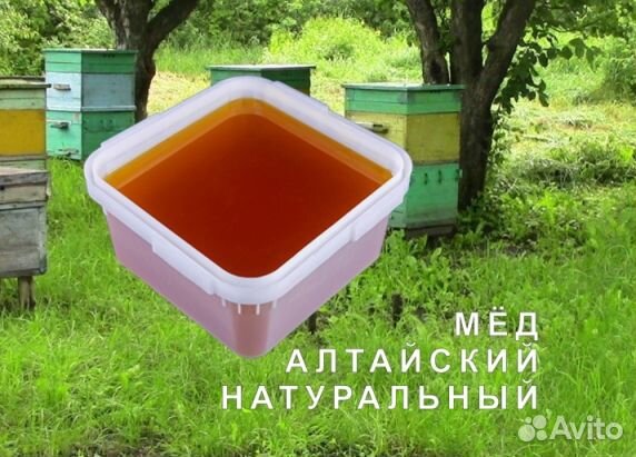 Мед натуральный из Алтая опт