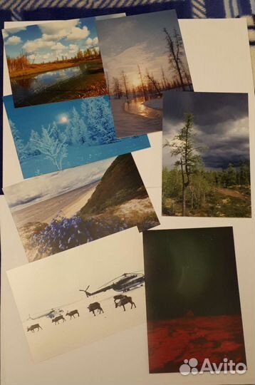 Фотокарточки 