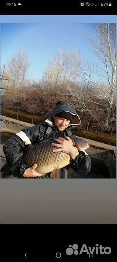 Консультации по рыбоводству и аквакультуре