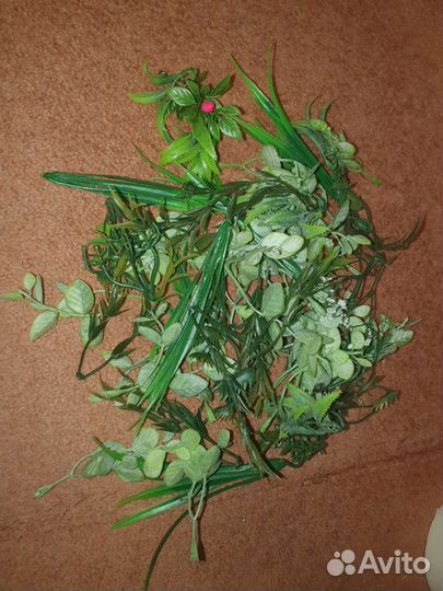 Пластиковые растения