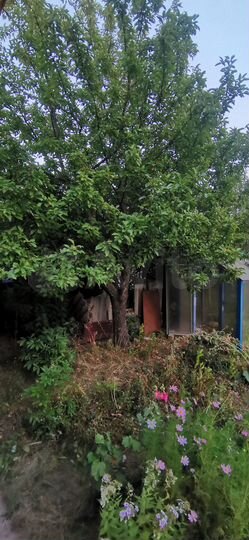 Дача 70 м² на участке 3 сот.