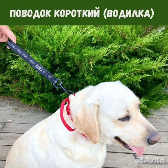 Поводок водилка с мягкой ручкой, 30 см