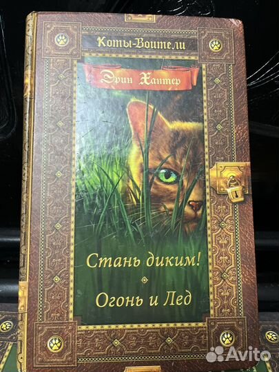 Коты-воителиЗемля королей