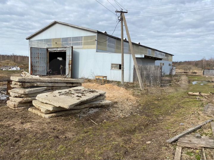 Свободного назначения, 539 м²