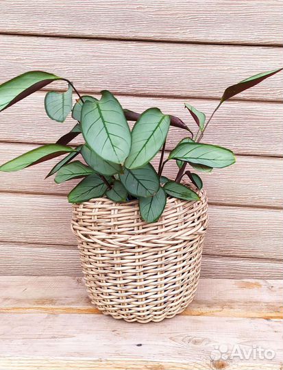 Кашпо для цветов