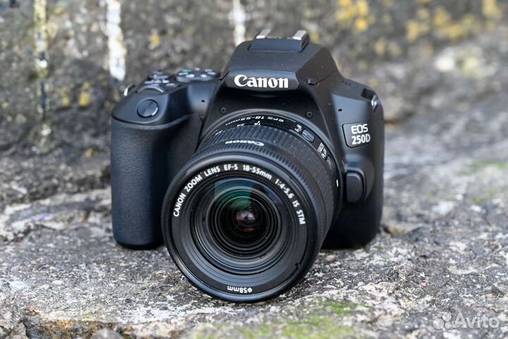 Зеркальный фотоаппарат canon eos250d