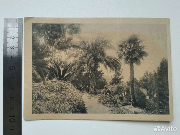 Почтовая карточка 1932 г Батум, Грузия