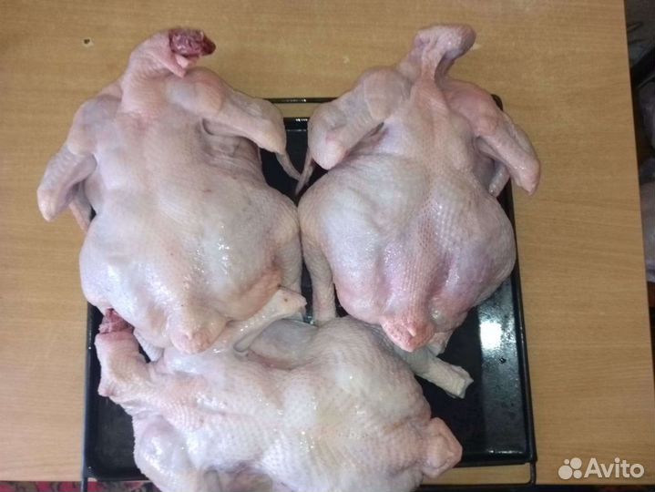 Мясо домашних кур (бройлеров)