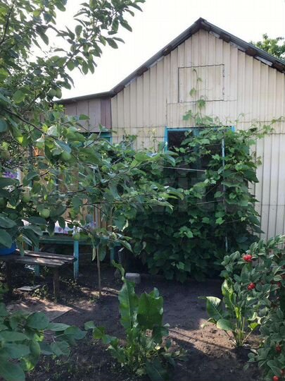 Участок 6 сот. (СНТ, ДНП)