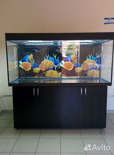 Аквариум 639л. свет, тумба, фон, биофильтр