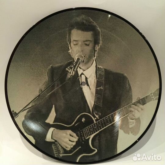 Steve Hackett / Access All Areas (Picture Disc)(LP)