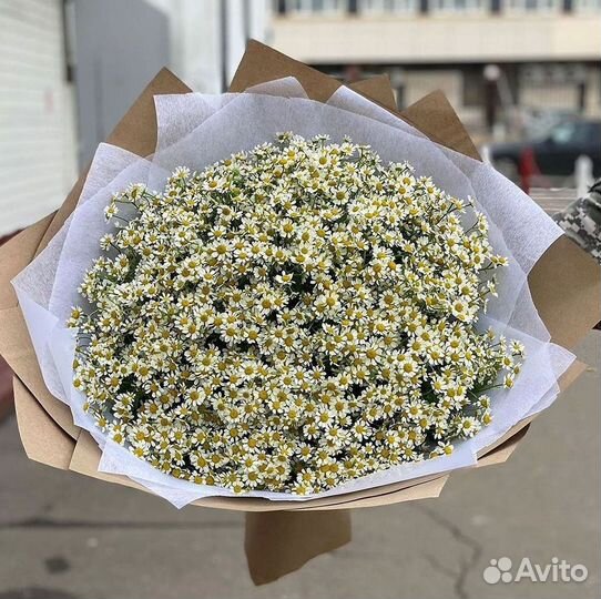 Цветы ромашки. Букеты ромашек. Цветы доставка