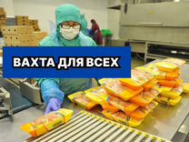 Упаковщик Вахта 15 дней Без опыта