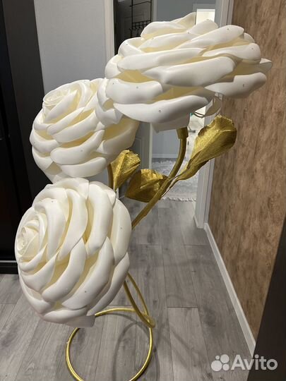 Декоративные цветы