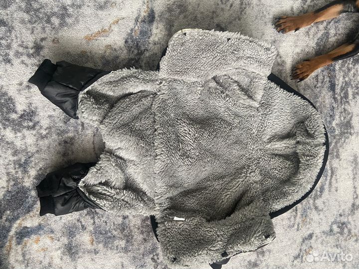 Одежда для собак