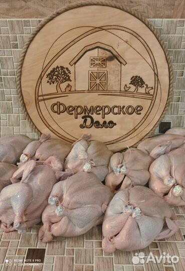 Куры бройлеры