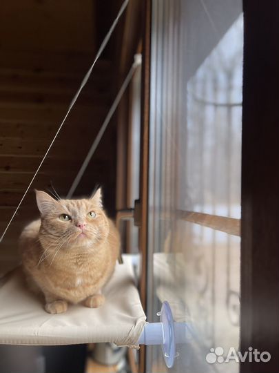 Подвесной гамак лежанка для кошек