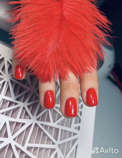 Педикюр, маникюр, укрепление