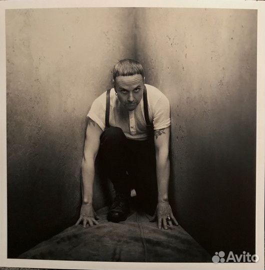 Виниловая пластинка Rammstein, Rammstein