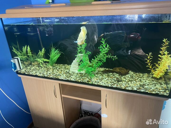 Аквариум с тумбой бу