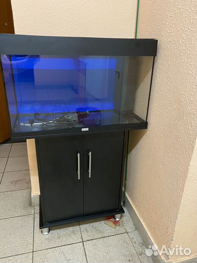 Аквариум Ювель Рио 125 с тумбой