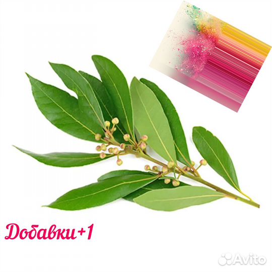 Лавровый лист сушеный