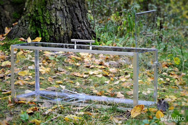 Котоловка аренда