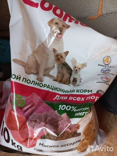 Корм для собак