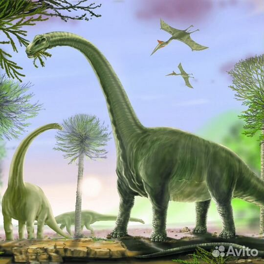 Детские фотообои 