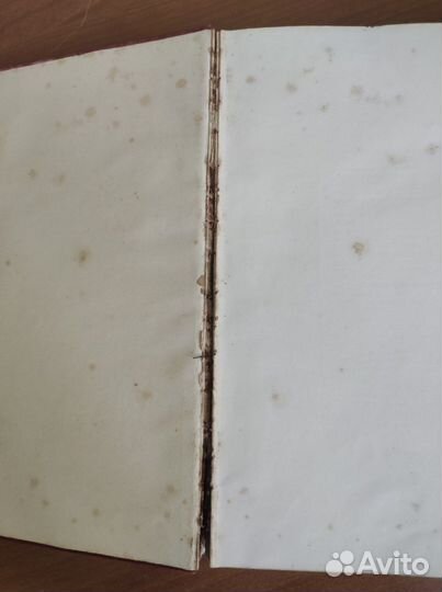 Книга Durer 1904