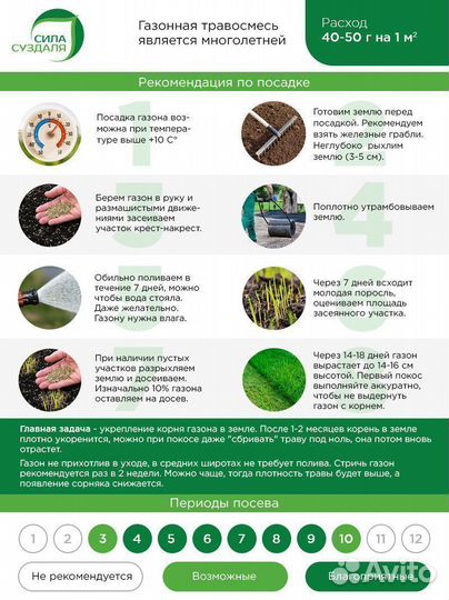 Семена Мятлика / Мятлик луговой / 300 грамм