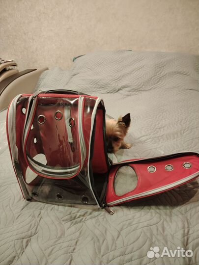 Сумка переноска для животных бу