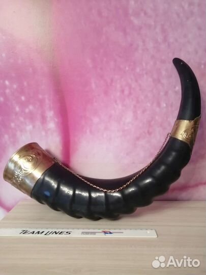 Рог изобилия